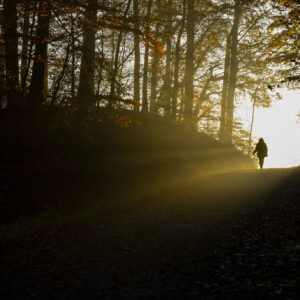 Narcissistic Recovery — A Beginner’s Programme